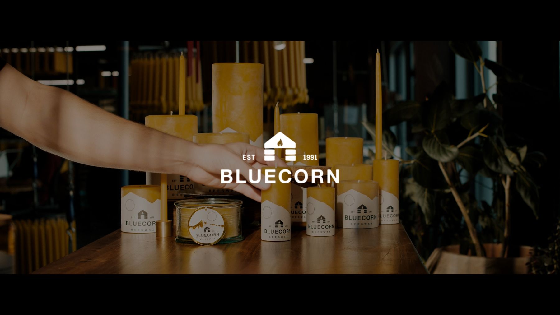 Bluecorn by Anchor Media